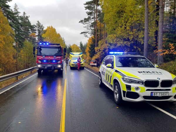 Kjøre ut og kolliderte med tre