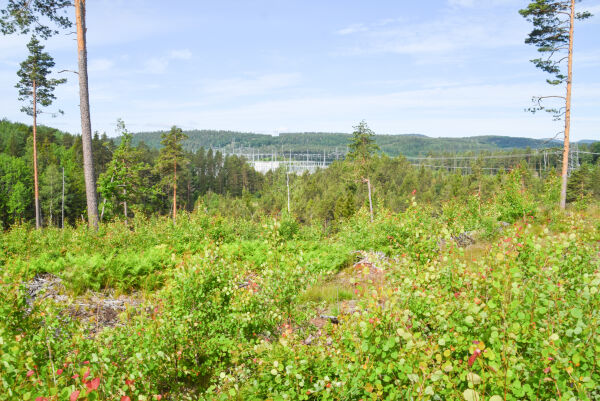 Tid for velvilje på Bøylestad