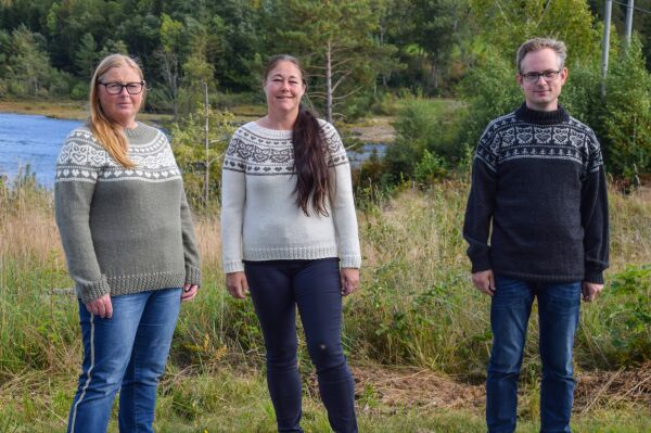 Lagde uglegenser basert på en stein